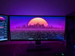 Dell 29 Inch Ultrawide LED Moniter