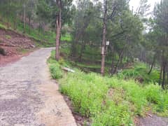 50 Kanal Land For Sale at Chattar Plan Islamabad