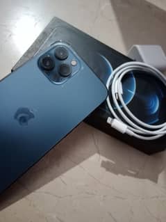 iphone 12 pro max 256 pta approved