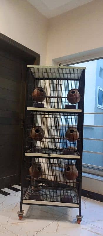 birds cage 1