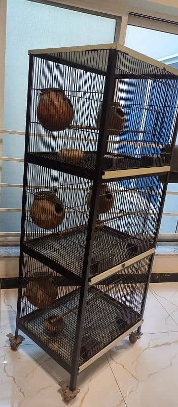 birds cage 2