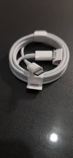 Apple USB Type C to Lightning Cable