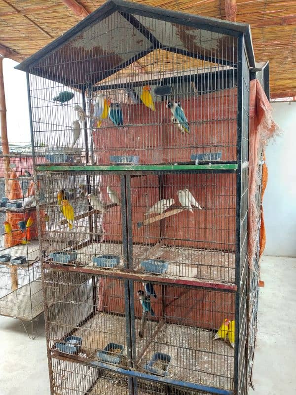 BIRDS CAGE 2