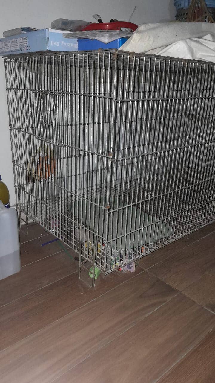 Heavy Iron Cage for Sale 1