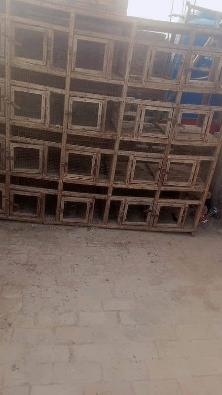 20 portion heavy wooden cage for sale 2