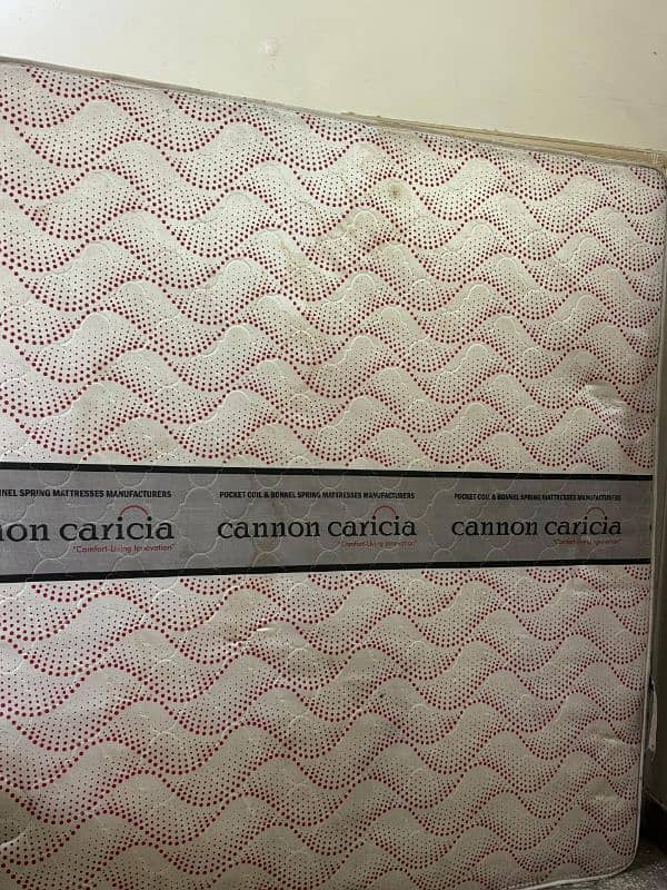 Cannon Caricia spring mattress 3