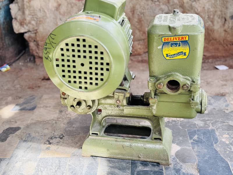 Donkey double water pump, 6