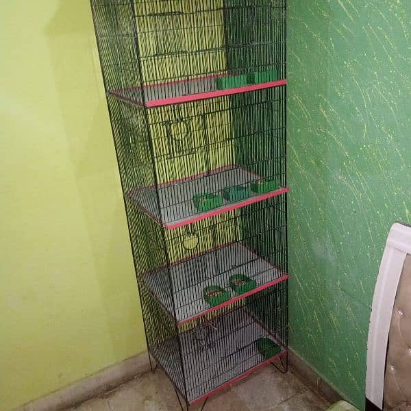 4 portion cage for conures or ringneck 0