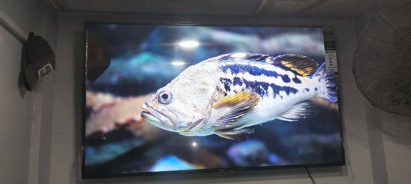 ORIGINAL SONY 65" 4K LED 101%ORIGINAL 2