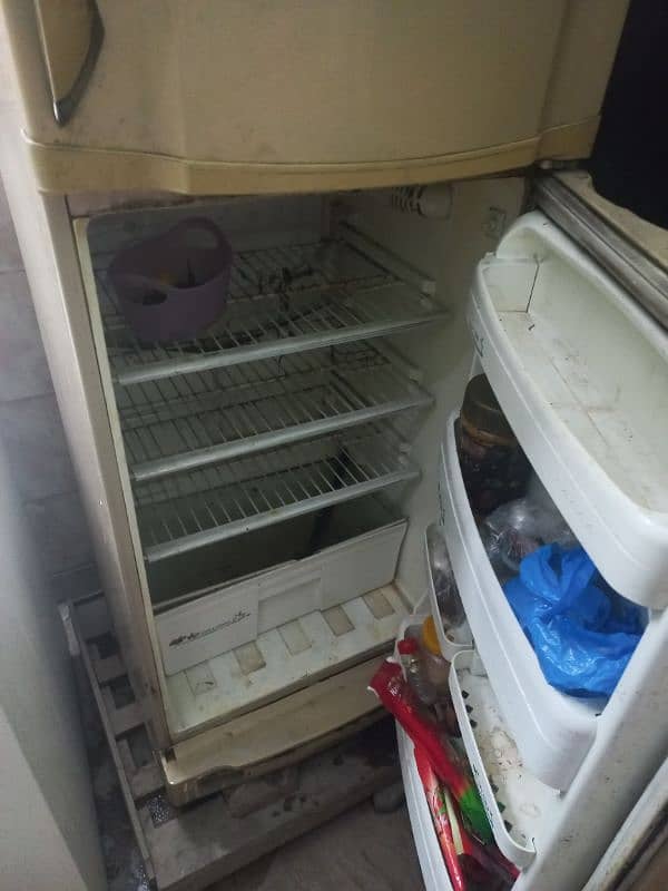 pel refrigerator 2