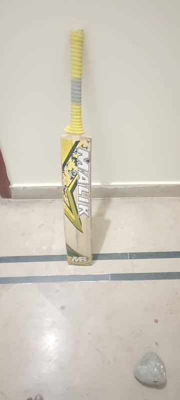 cricket bat and gloves in good price 2