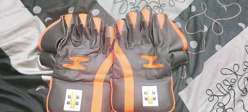 cricket bat and gloves in good price 3