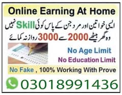 Online job available, Typing/Assignment/Data Entry/Ad posting etc