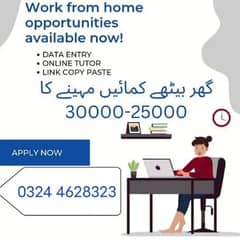 online jobs/full time/part time/simple typing jobs for boys and girls