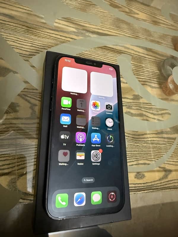 iPhone 12 Pro Max 0