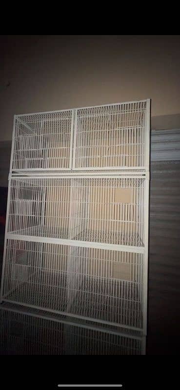 cage birds for sale pinjray new used 0