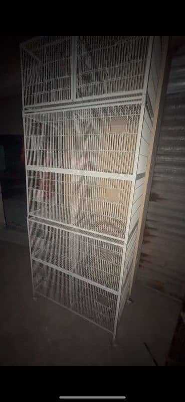 cage birds for sale pinjray new used 1