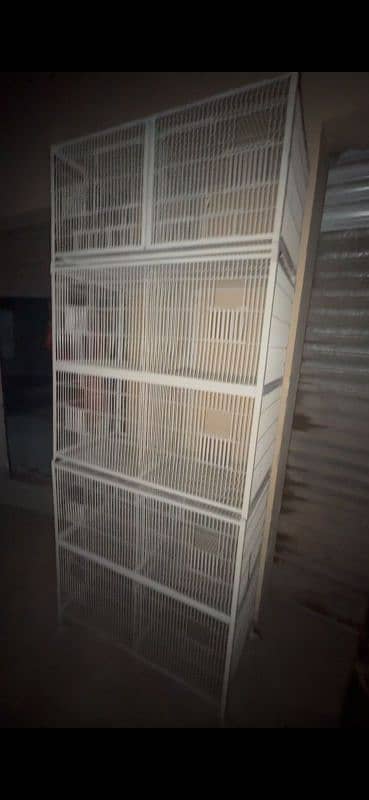 cage birds for sale pinjray new used 2