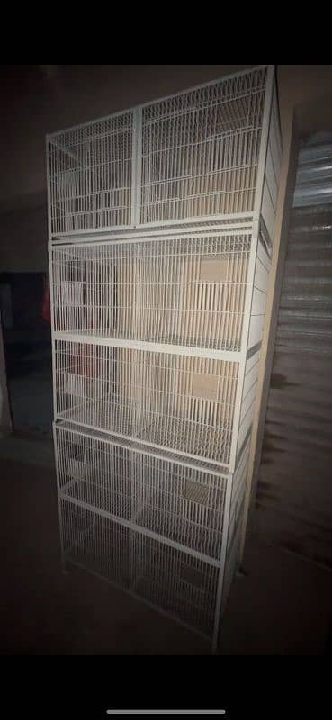 cage birds for sale pinjray new used 3