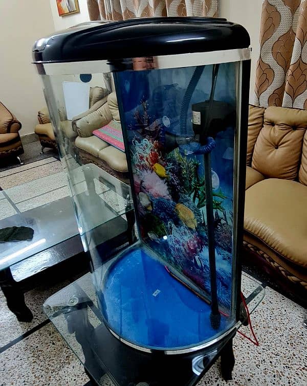 Imported aquarium D shape 1