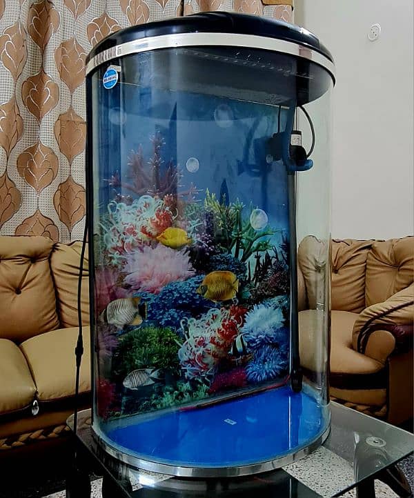 Imported aquarium D shape 2