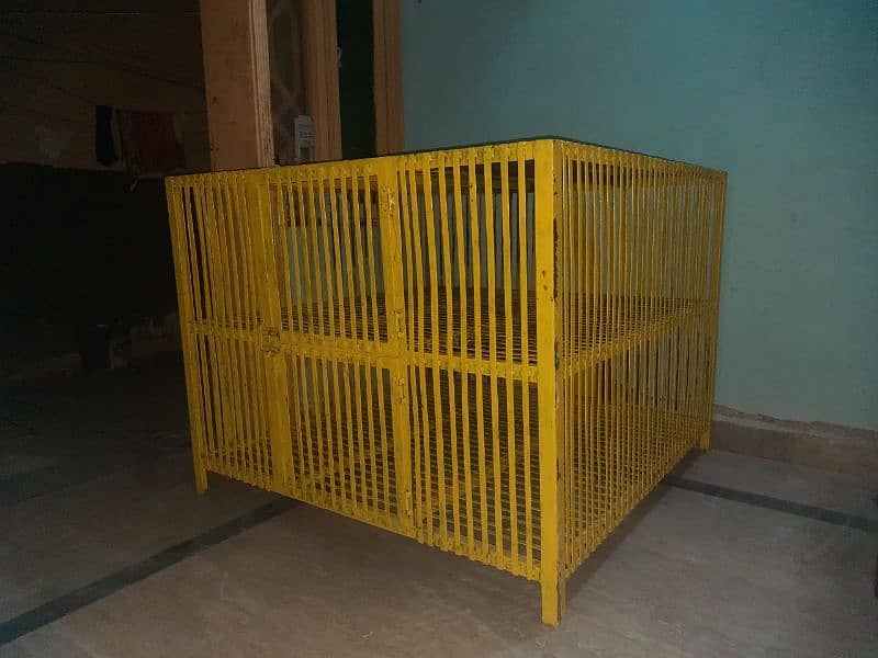 chiken Cage 3