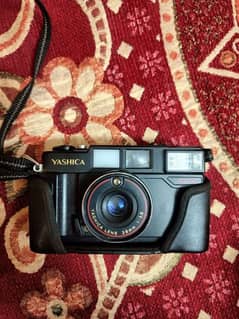 yashica