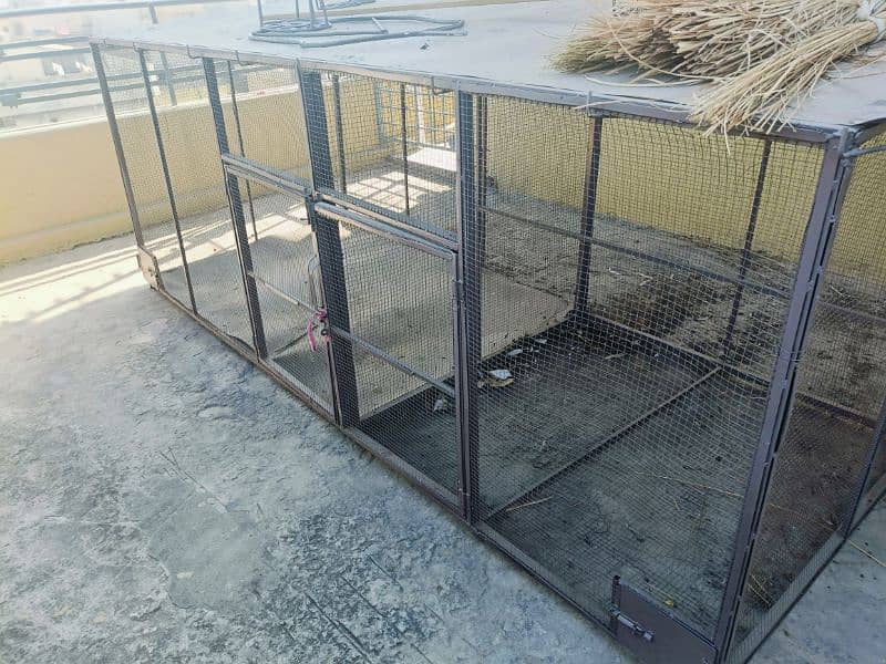 cage for parrots . hen & other animal 0