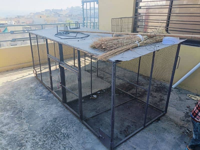 cage for parrots . hen & other animal 1