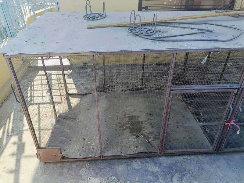 cage for parrots . hen & other animal 2