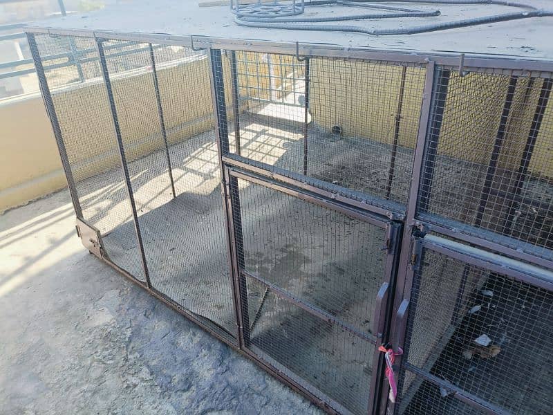 cage for parrots . hen & other animal 4