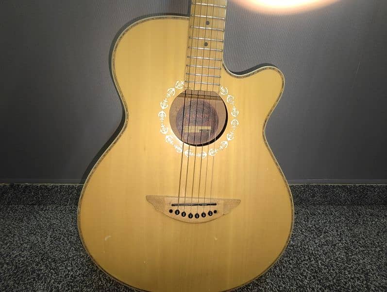 Kanon Professional Acoustic Guitar 2