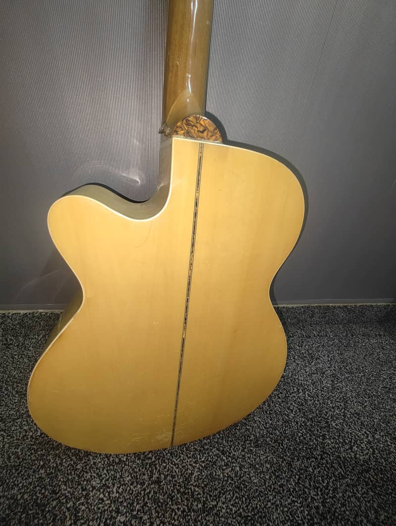 Kanon Professional Acoustic Guitar 3