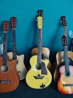 acoustic guitar (beginners guitar, advance guitar,electric guitar)