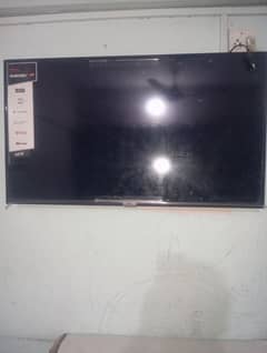 TCL LED