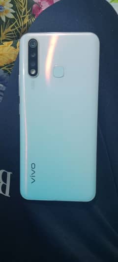 Vivo