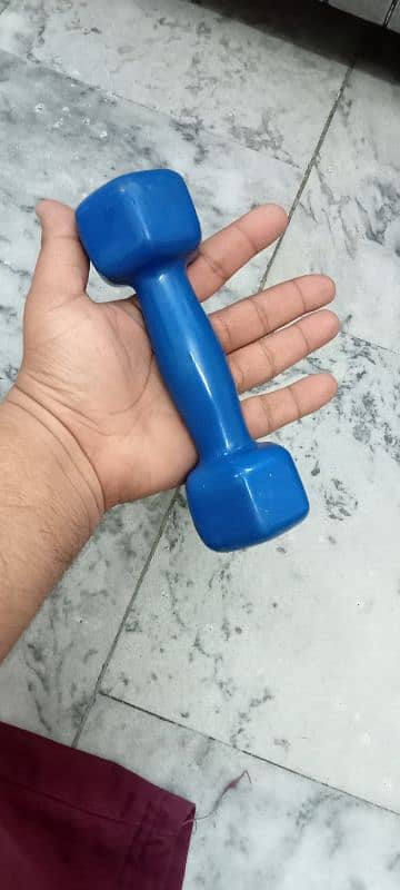 3KG Dummbells with Silicone rubber cover 2