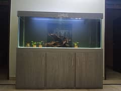 6ft aquarium with 4ft sump tank