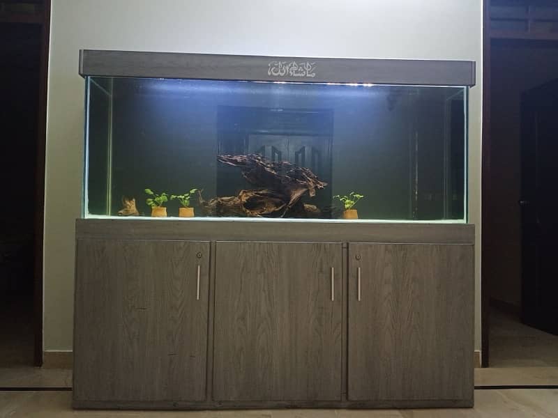 6ft aquarium with 4ft sump tank 0