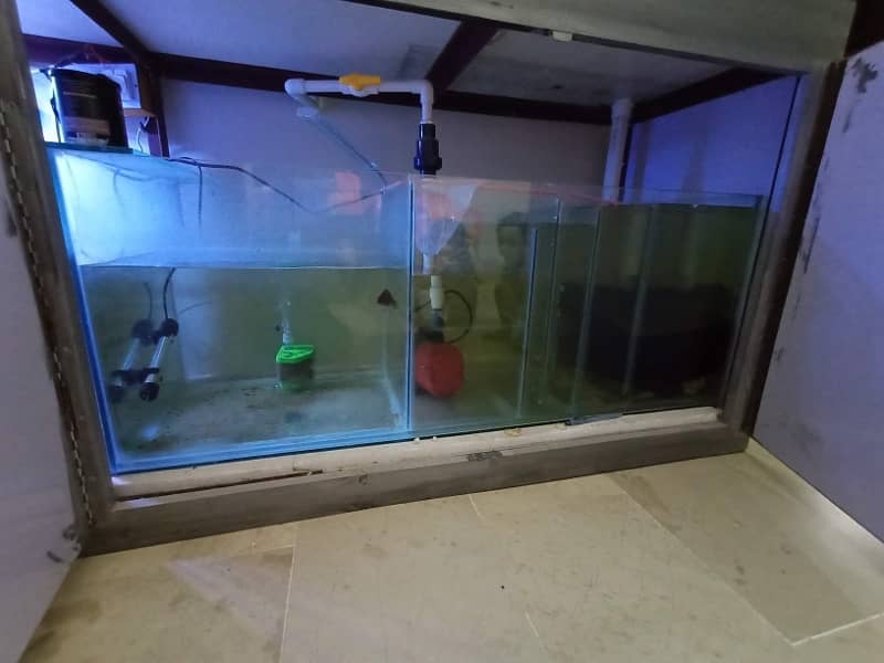 6ft aquarium with 4ft sump tank 1