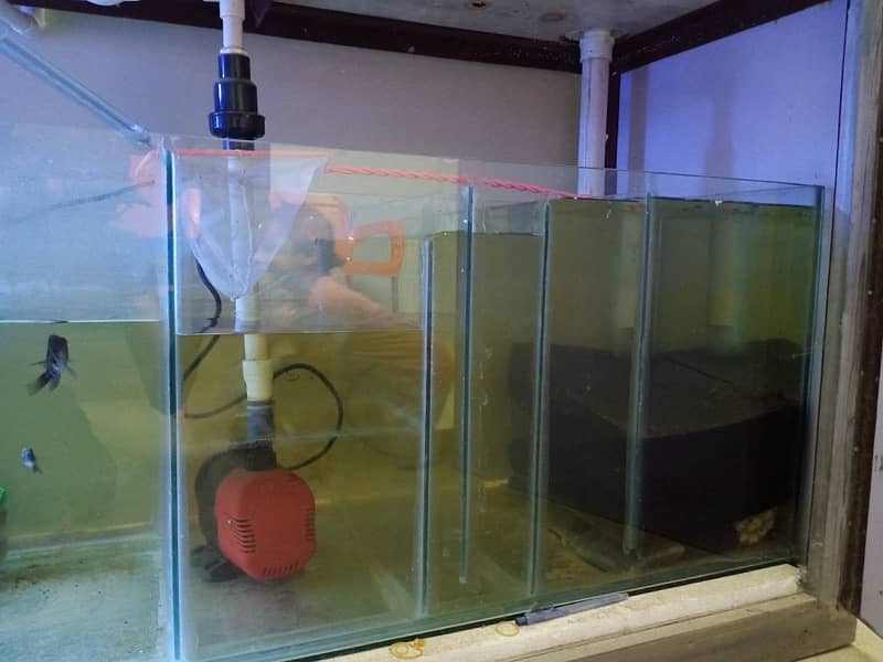 6ft aquarium with 4ft sump tank 2