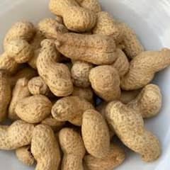 Peanuts for sale best quality