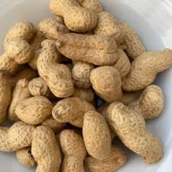 Peanuts for sale best quality 0