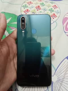 Vivo