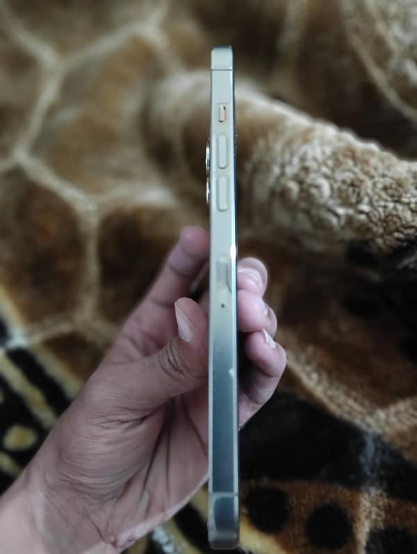 Iphone 12 pro max 128gb PTA Approved 10