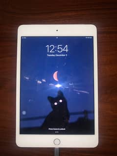 iPad Mini 4 - 128GB