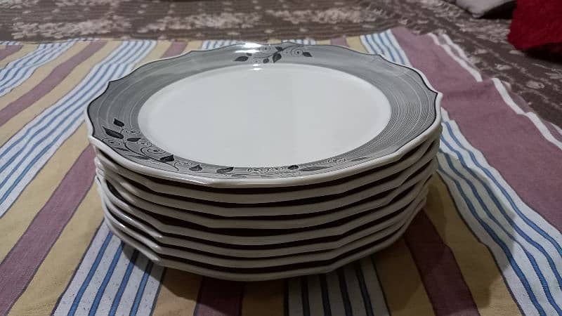 Endura Dinner ware 3