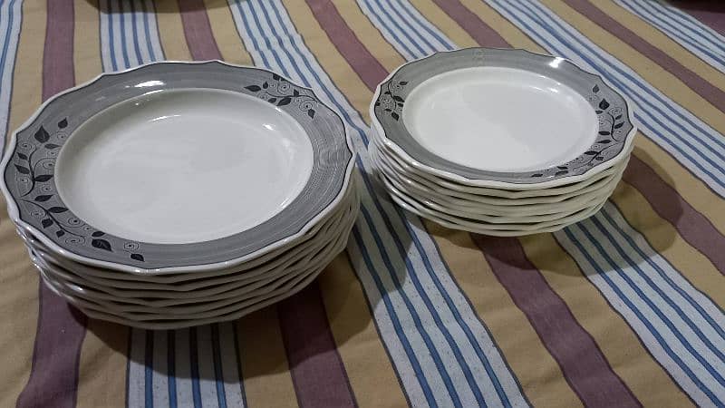 Endura Dinner ware 4