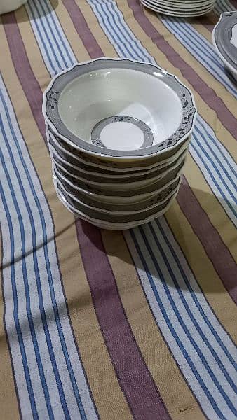 Endura Dinner ware 7