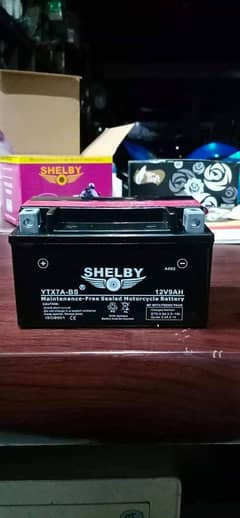 Heavy Bike Shelby battery